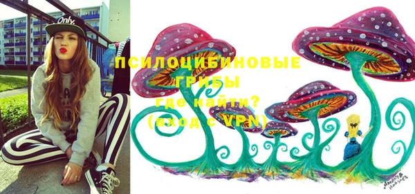mdpv Саяногорск