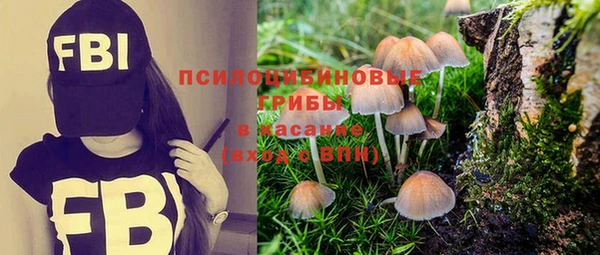 героин Сатка
