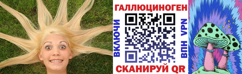 Купить закладки  Хотьково  Галлюциногенные грибы GOLDEN TEACHER 