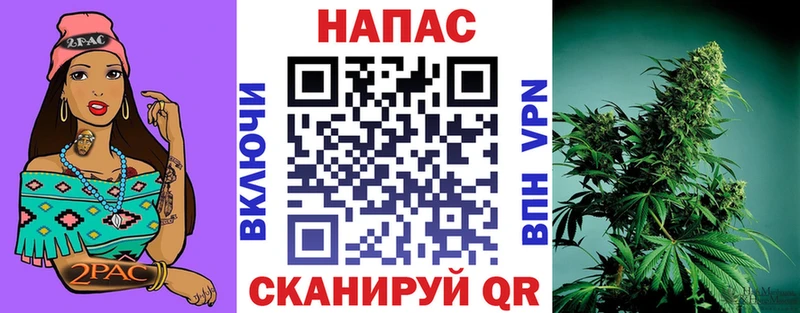 Купить  Хотьково  Каннабис семена 